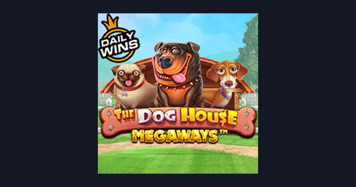The Dog House Megaways: Slot Pemula dengan Deposit Kecil & Tips Main Slot